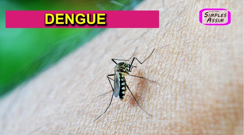 Dengue