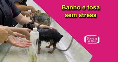 Banho e tosa sem stress