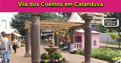 Vila dos Coelhos