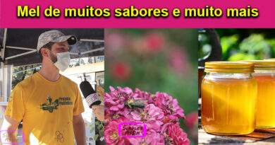 Meliponicultura